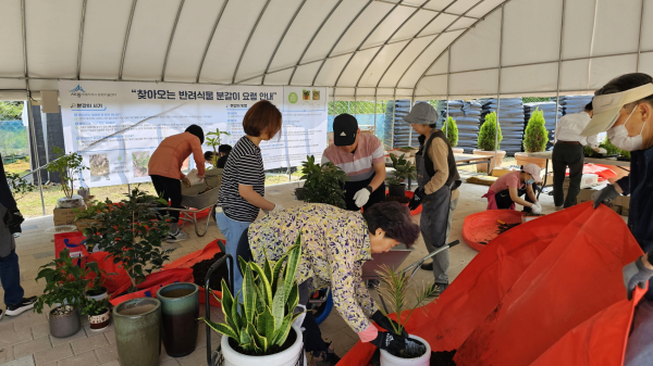 지난해 반려식물 교육 참여 모습