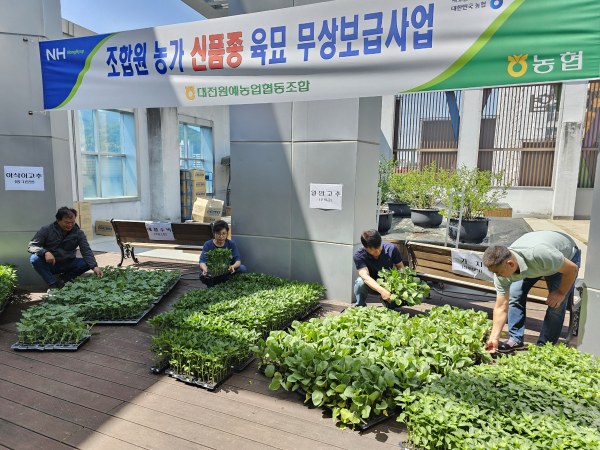 조합원 신품종 육묘보급사업 진행