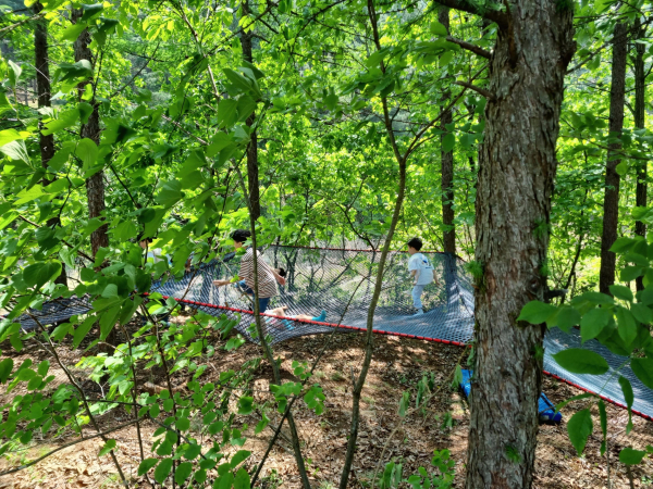 ‘2024년 어린이날 숲 놀이 대축제’ 행사 사진