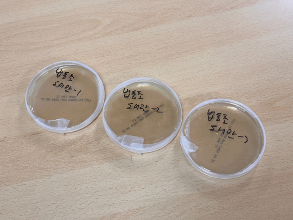 2024년 상반기 학교 공기질 점검 실시