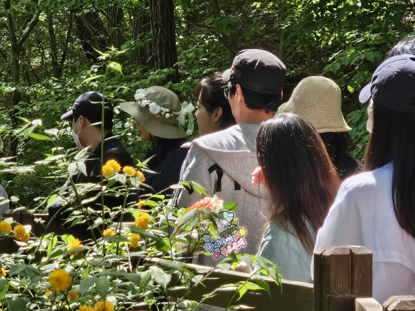 2023년도 숲태교 캠프 사진.