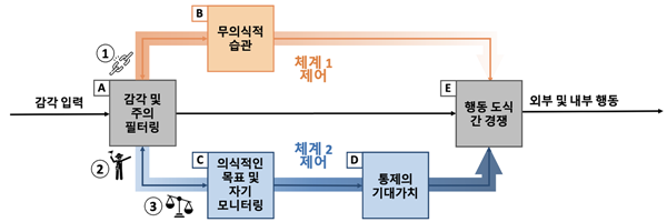 두 체계 이론