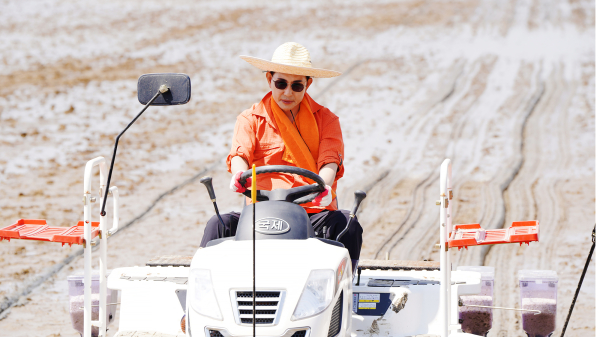 고북면 신정리 일원에서 23일 개최된 ‘2024년 벼 직파재배 연시회’에서 이완섭 시장 시연 모습