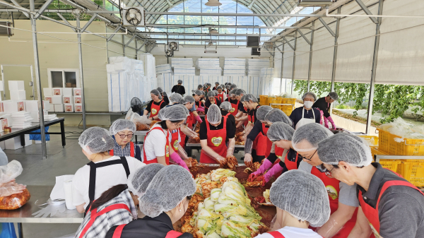 29일, 2024년 사랑의 김치 계절김치 나누기 봉사 모습