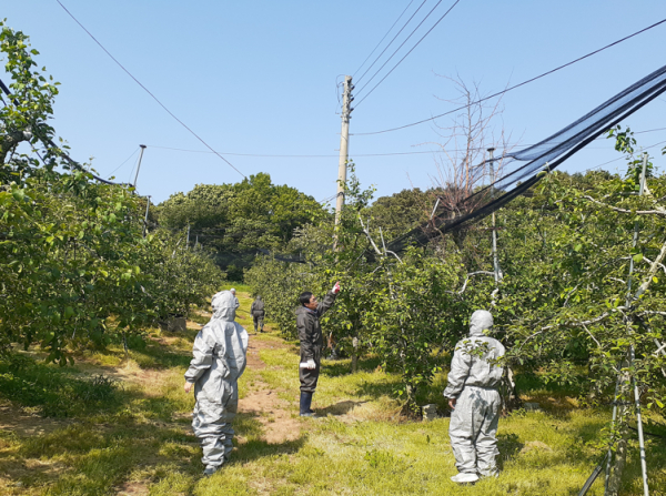 전직원 과수화상병 사전예방 현장 정밀예찰 모습