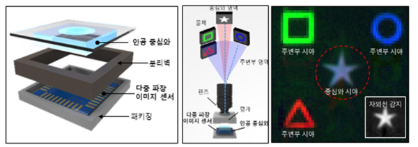 연구진이 개발한 새 눈을 모방한 카메라의 모식도 및 측정 결과