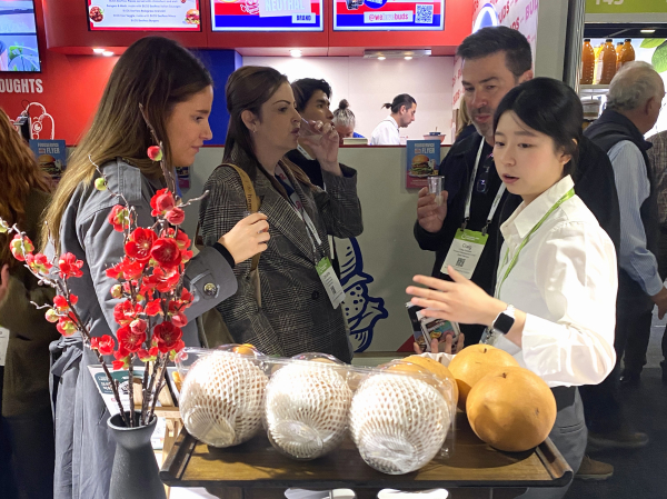 2024 호주 K-푸드 세일즈로드쇼 B2B 박람회 홍보 모습