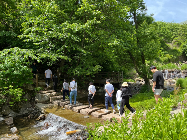 산재 근로자 및 가족 대상 산림치유프로그램 사진.
