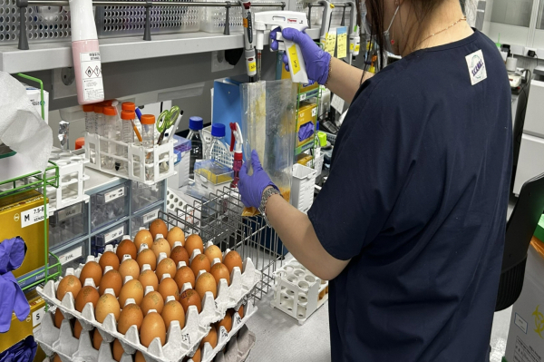 8월까지 살충제 34종 검사 진행