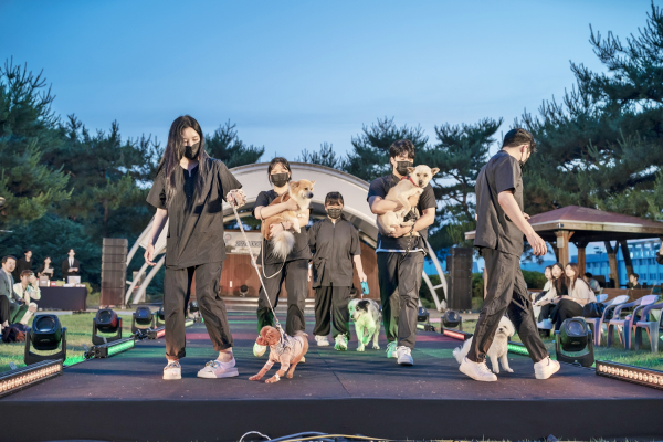 펫토탈케어과  펫 쇼