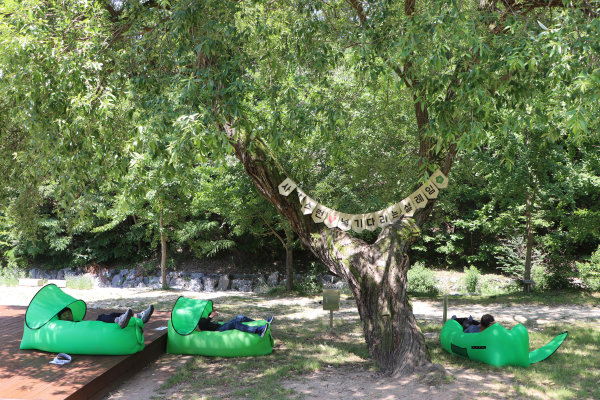 13일 국립대전숲체원을 찾은 홍천국유림관리소 산불진화대원들이 산림치유 프로그램을 경험하고 있다.