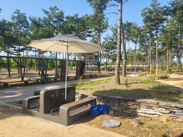 중앙공원 솔숲정원 맨발 산책길 내 세족장