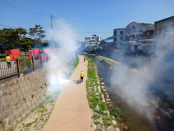하절기 ‘위생 해충 집중 방역' 실시 모습