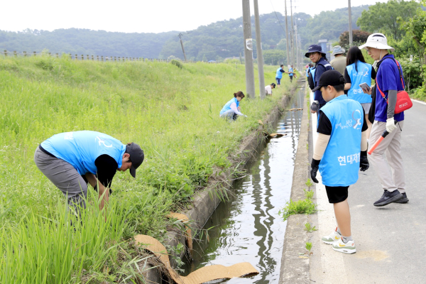 당산 생태공원에서 금개구리를 위한 생태 사다리 설치와 환경정화 활동 진행