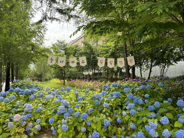 제천뜰근린공원