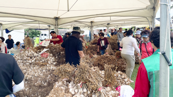 지난해 7월 7일부터 7월 9일까지 해미읍성 일원에서 열린 제14회 서산6쪽마늘 축제 현장 모습