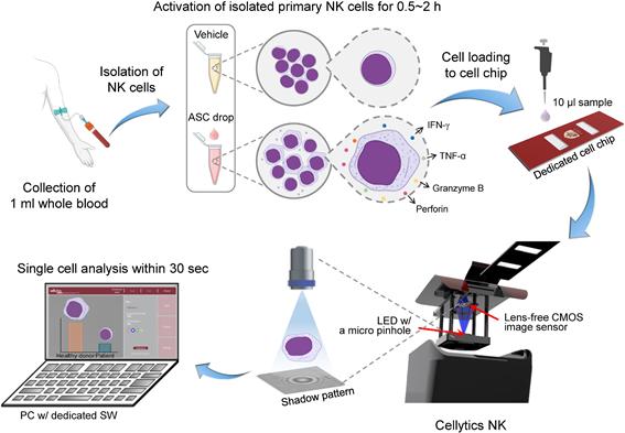 NK 세포 활성도 기반 면역력 검사 플랫폼인 Cellytics® NK 개념도.