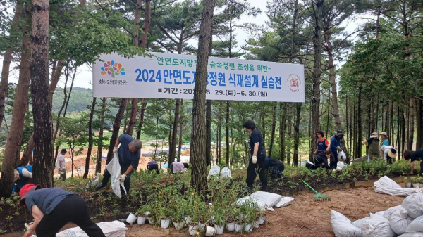 안면도 지방정원 식재설계 실습전