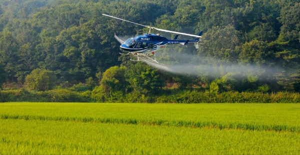 벼 병충해 항공방제 사진