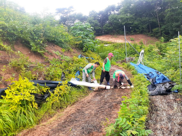 청양군 지역자율방재단, 호우피해 응급복구 진행 모습