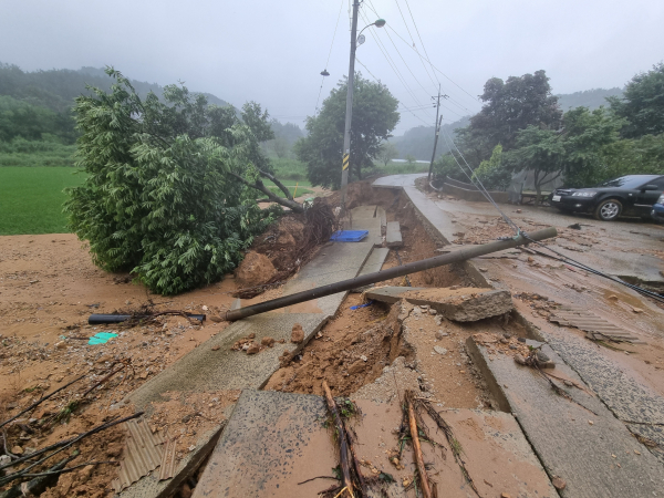 임천면 수해지역 모습