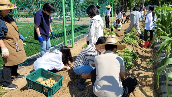 대전교육연수원 꿈나래교육원 텃밭 모습