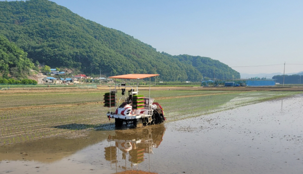 벼 재배면적 감축 자료 이미지