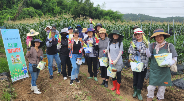 농장팜파티 옥수수 따기 체험