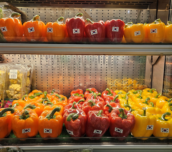 필리핀 대형유통매장에 입점한 한국산 파프리카