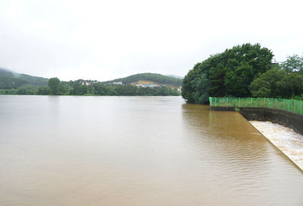 대산읍 물안저수지