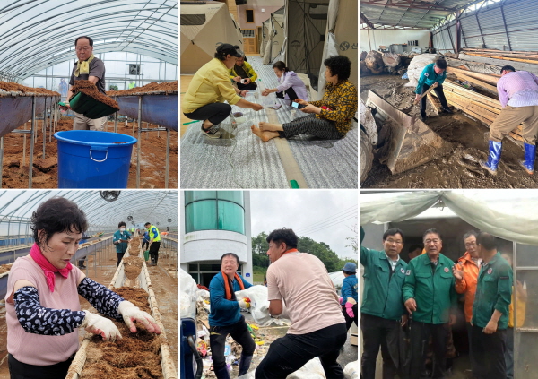 논산시의회 의원들 수해복구 현장 모습