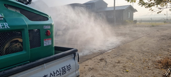 럼피스킨 방역 사진