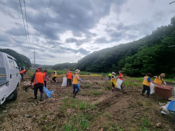 수해지역 방역 사진