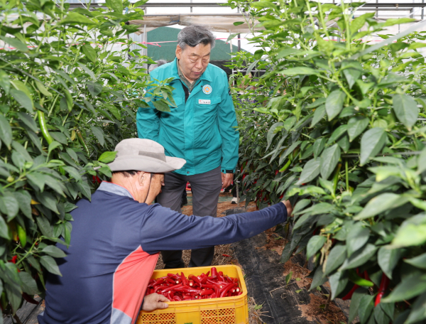 농촌지도 시범사업 현장 점검 (안면읍 창기리)
