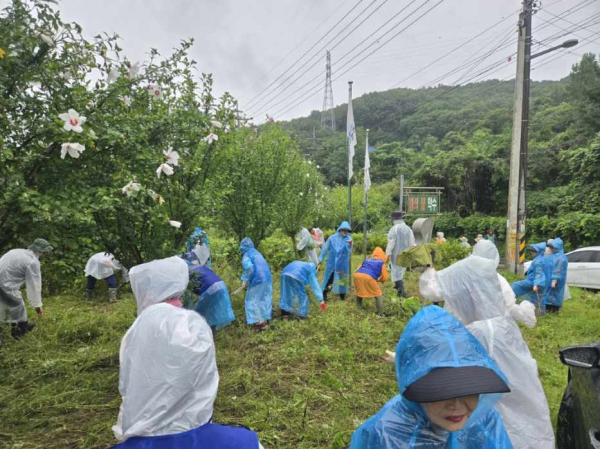 읍면동별 100대 마을정원가꾸기 범시민운동 진행 모습