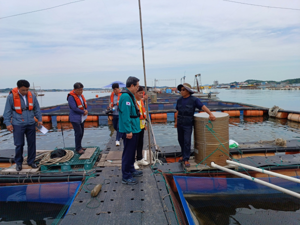 고수온 대응 사전 현장점검(서산 창리)