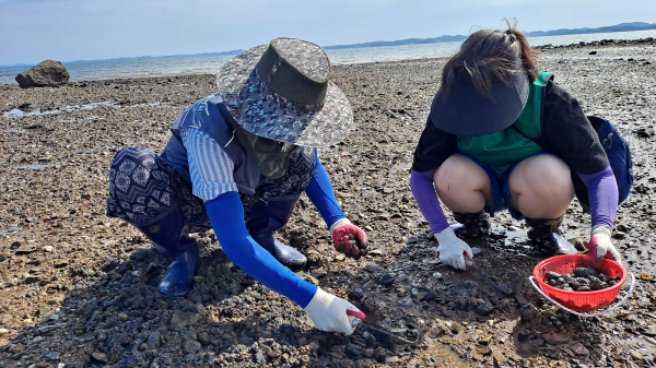 지난해 운영된 서산버드랜드 여름방학 특별 프로그램