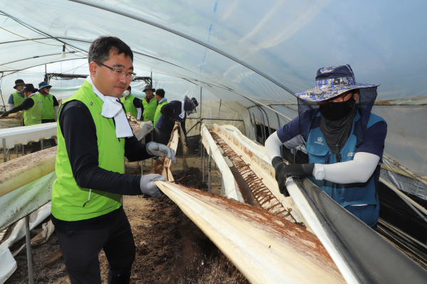 서산시와 태안군 지역 농축협 임직원들이 논산시 연무읍 호우피해 농가를 찾아 수해복구 봉사활동 진행
