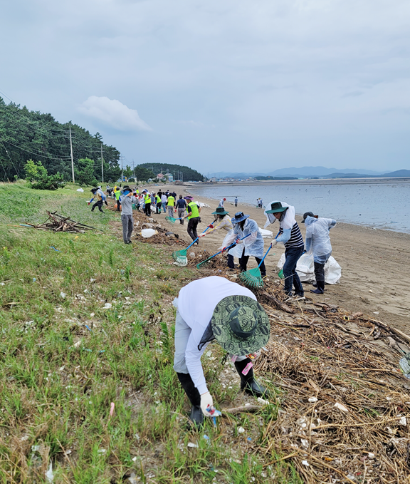 서천군 수해복구 현장 모습