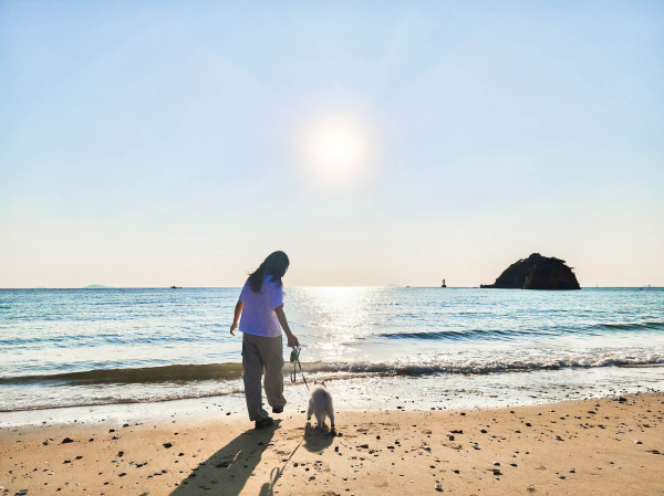 꽃지 해수욕장에서 반려견과 산책을 즐기는 모습.