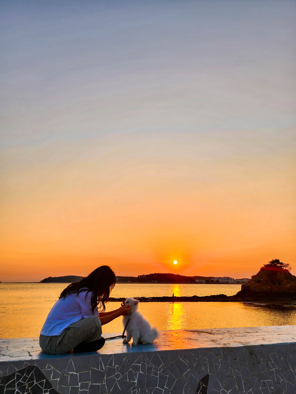 꽃지 해수욕장에서 반려견과 산책을 즐기는 모습.