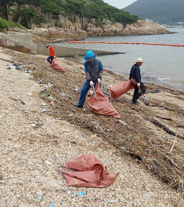 피서철 해안가 쓰레기 수거(근흥면 마도(240725)