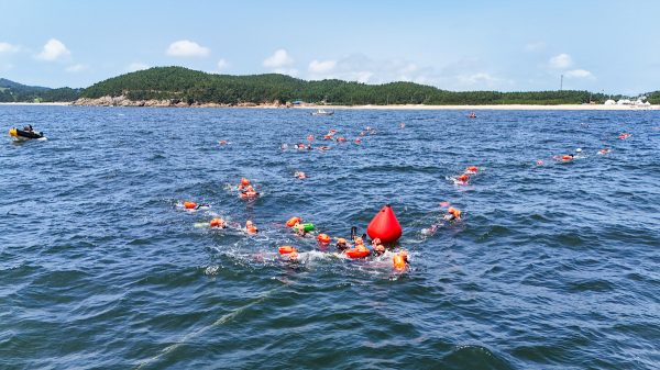 제16회 전국해양스포츠제전 경기 모습