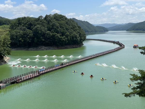 8월 6일 안동댐 유역의 녹조에 대응하여 수면 포기기, 녹조 제거선 등 녹조 대응설비를 가동하고 있다.