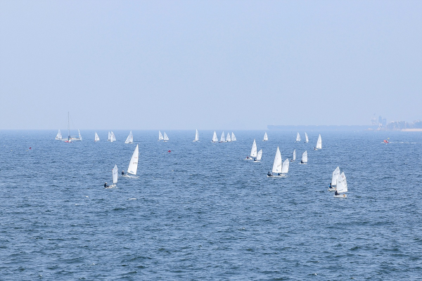 2024 보령컵국제요트대회 개최 모습