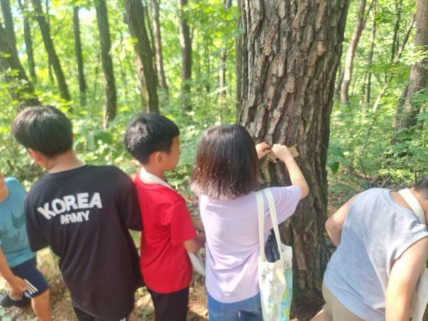 회기형 숲체험교육사업 「숲으로 가자」 진행 모습