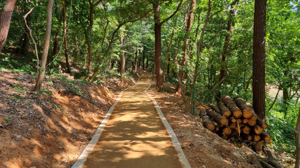 맨발 산책로 모습