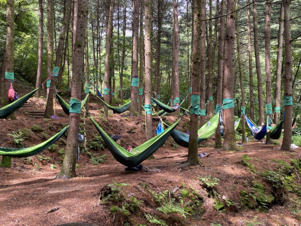 국가유공자 및 그 가족을 대상으로 1박 2일 산림치유 힐링캠프 진행