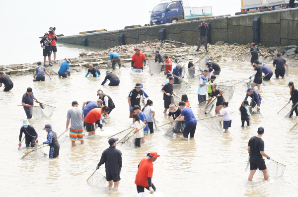 8월 24일부터 25일까지 삼길포항 일원에서 열린 제18회 삼길포우럭축제 모습