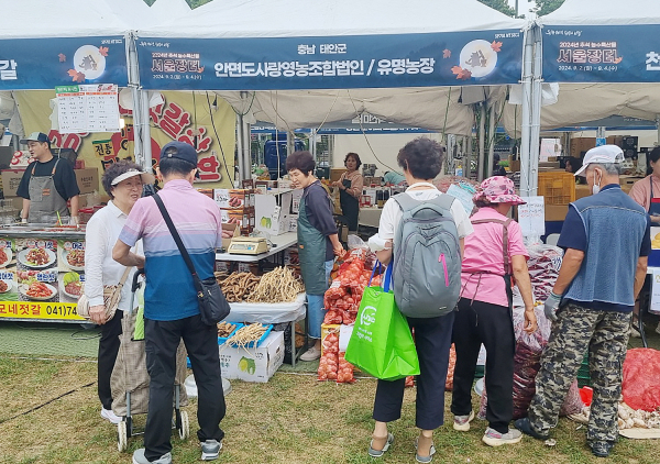 지난 2일 서울시청 광장에서 진행된 ’2024 추석 서울장터‘ 내 태안군 부스 운영 모습.